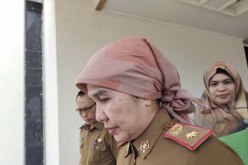 DLH Lampung klaim pesisir pantai tercemar limbah sudah bersih