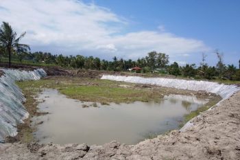 Kekeringan, usaha ikan di Puyung terancam gagal panen
