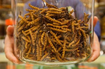 Sederet menu mewah yang dulunya murah dan berlimpah