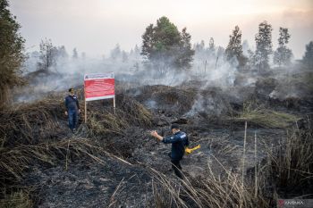 Sejumlah wilayah berpotensi karhutla hingga hujan lebat