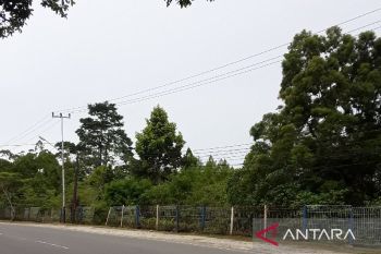 DLH Biak edukasi warga tidak bakar sampah cegah kebakaran