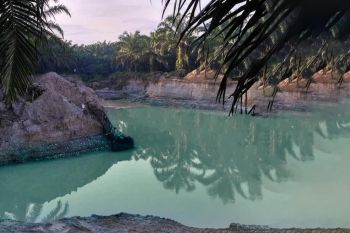 PTPN V komit wujudkan perkebunan berkelanjutan