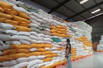 Cadangan Beras Pemerintah menyasar 27.091 KPM di Maros