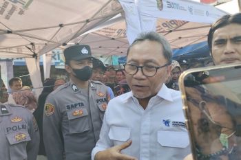 Mendag minta pemda lakukan operasi pasar stabilkan harga beras