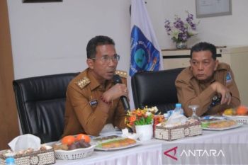 Pemprov Babel bersama PLN kembangkan PLTS Atap di pulau-pulau kecil