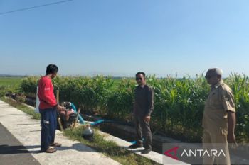 BPBD Kulon Progo mengkaji penetapan status tanggap darurat kekeringan