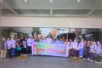 Pemprov Sulsel gandeng GGF Lampung mengembangkan tanaman pisang