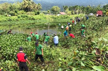 Pemkab Agam bersihkan 39 ton enceng gondok di Danau Maninjau