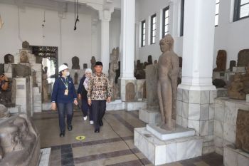 Pemerintah akan tata ulang Museum Gajah pascakebakaran