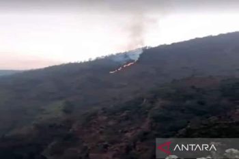 Kebakaran hutan di Lereng Gunung Merbabu Boyolali meluas