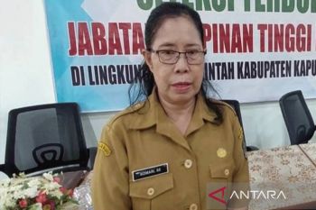 Pemkab Kapuas buka seleksi 2.149 formasi PPPK