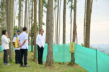 Menkeu sebut kompleks IKN mulai terlihat secara fisik