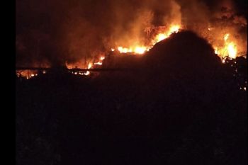 BPBD Sukabumi berhasil padamkan kebakaran lahan di Gunung Jayanti