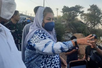 Kebakaran di TPA Jatibarang, tiga anak sapi tewas