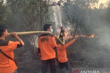 Tim Satgas padamkan delapan titik karhutla di OKU Sumsel