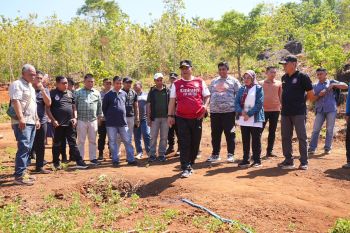 Pj Gubernur Sulsel tinjau perkebunan Maros dorong gerakan tanam pisang