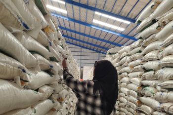 BI Lampung sebut operasi pasar dapat kurangi dampak kenaikan harga beras