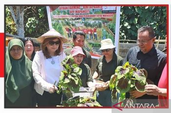 Pemkot Manado: Urban Farming tingkatkan sektor pertanian perkotaan