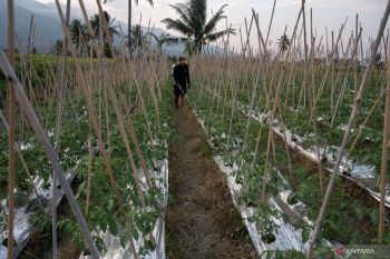 Menyiapkan petani milenial sebagai pewaris negeri agraris