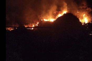 Tim gabungan padamkan kebakaran lahan di Gunung Jayanti