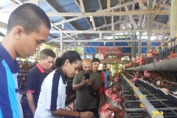 Pemkab Biak sebut program pemberdayaan UMKM turunkan angka kemiskinan