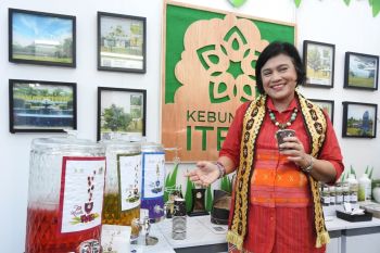 Teh gaharu bikin penasaran pengunjung stan Kebun Raya Itera di InaRI Expo 2023