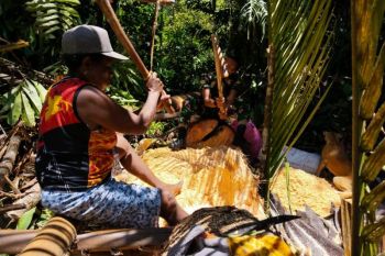 Satgas Pamtas RI-PNG membantu warga Keerom mengolah sagu
