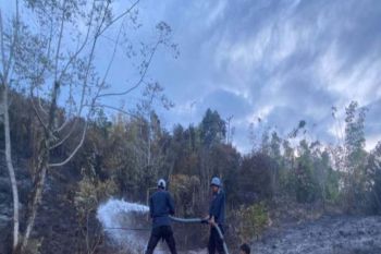 Petugas gabungan terus berusaha padamkan api karhutlah di Poso