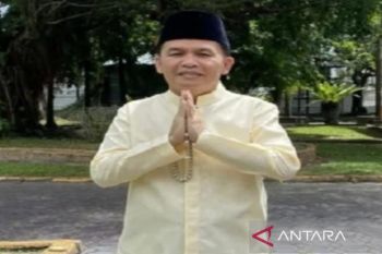 DPR RI: Pj wali kota/bupati jaga iklim investasi di Kalteng