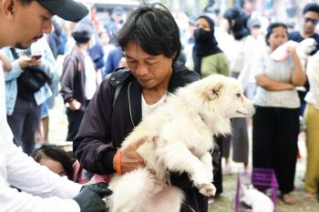 DISTAN DENPASAR SOSIALISASI PENCEGAHAN RABIES