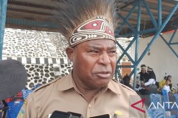 Guru kontrak menutupi kekurangan pengajar Kabupaten Jayapura