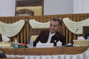 Ketua DPRD Seruyan minta potensi transportasi udara dimaksimalkan sambut IKN