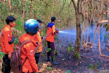 BPBD: Dalam dua pekan ada 30  hektare lahan yang terbakar di OKU Timur