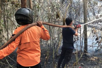 BPBD OKU lakukan observasi lahan gambut cegah karhutla
