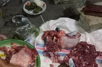 Disdag Mataram sebut harga daging sapi naik