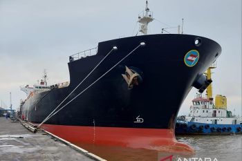 Garap pasar Eropa dan India, PTPN V hasilkan devisa 18,2 juta dolar AS