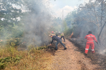 Pertamina Patra Niaga Regional Sumbagsel berpartisipasi dalam tim gabungan pemadaman karhutla