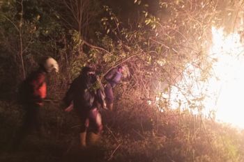 Kebakaran satu hektare lahan di lereng Gunung Merbabu dijinakkan