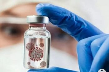 Dinkes Bali: Wisatawan India bergejala Virus Nipah perlu diwaspadai