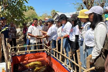 PLN Kupang dampingi 536 warga Semau atasi stunting