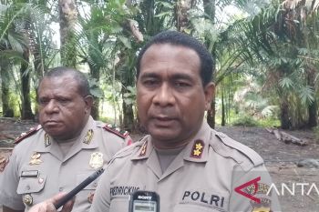 Polres Jayapura cek kembali penyebabnya muncul titik api kebakaran