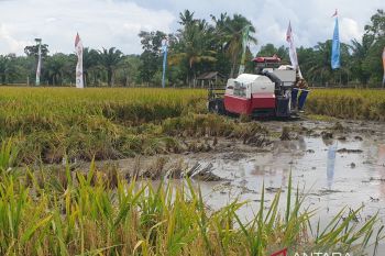 Bulog: Stok beras Sumsel dan Babel capai 24.000 ton