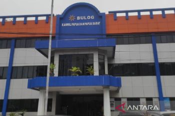 Bulog targets buying 16,577 tons of rice from Merauke's farmers