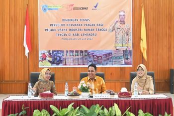 Pemkab tingkatkan daya saing IRTP di Lamandau