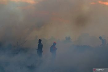 Kasus ISPA di Tapin tinggi sebelum karhutla, balita paling banyak
