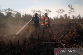 Dua petani jadi tersangka, Polres Tapin lanjut selidiki kasus karhutla