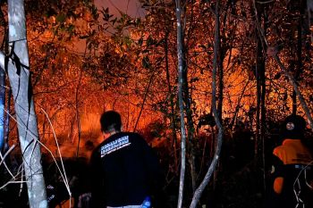 BPBD bersama perusahaan tambang padamkan karhutla di Tapin