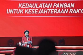 Megawati Soekarnoputri singgung perdagangan karbon demi kurangi emisi RI