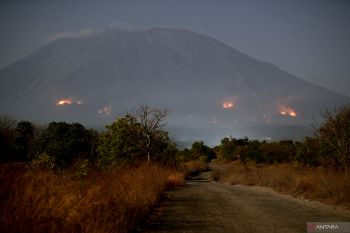 Kebakaran hutan di lereng Gunung Agung