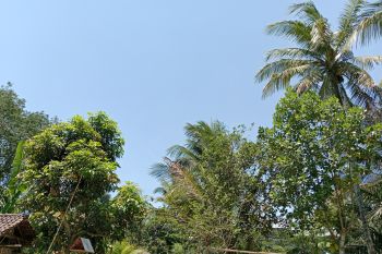 Peluang hujan di NTB masih rendah